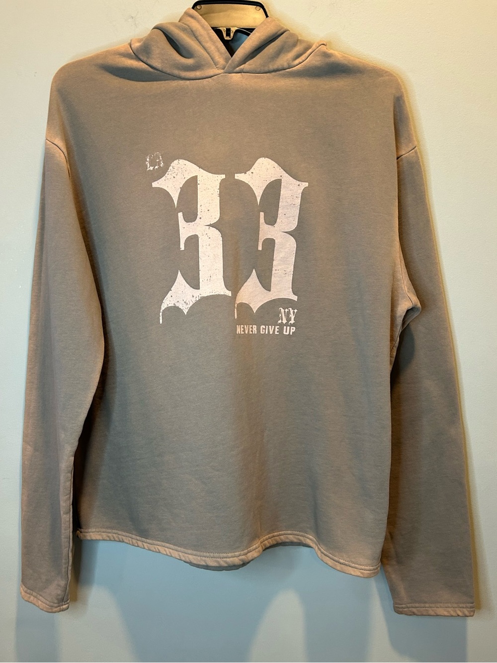 Fashion Nova Men’s Substance 33 Hoodie Sweatshirt Medium ‘Never Give Up’